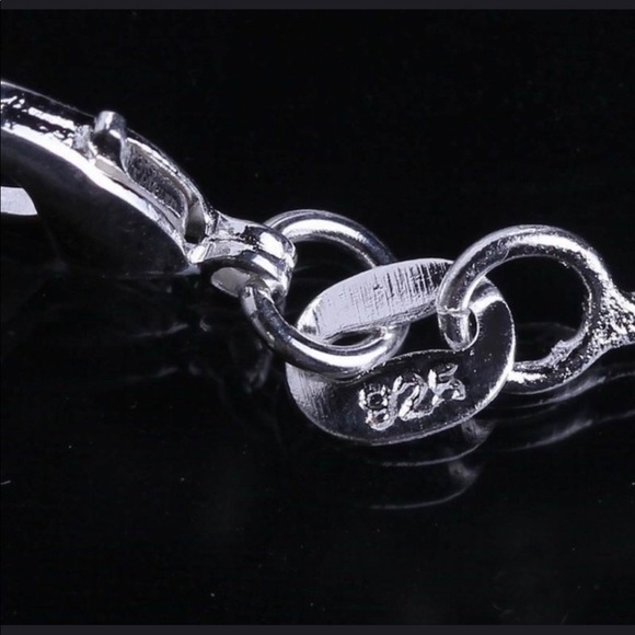DO NOT PURCHASE ITS FOR SBJORNSSTERLING SILVER NECKLACE - Picture 3 of 6